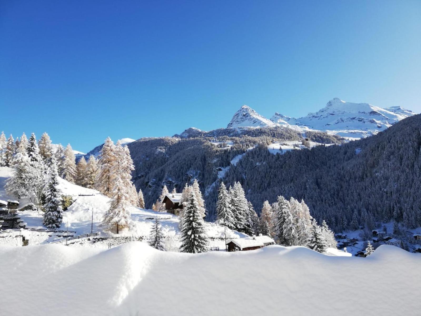 Affittacamere Buenavista Guest House Champoluc Extérieur photo